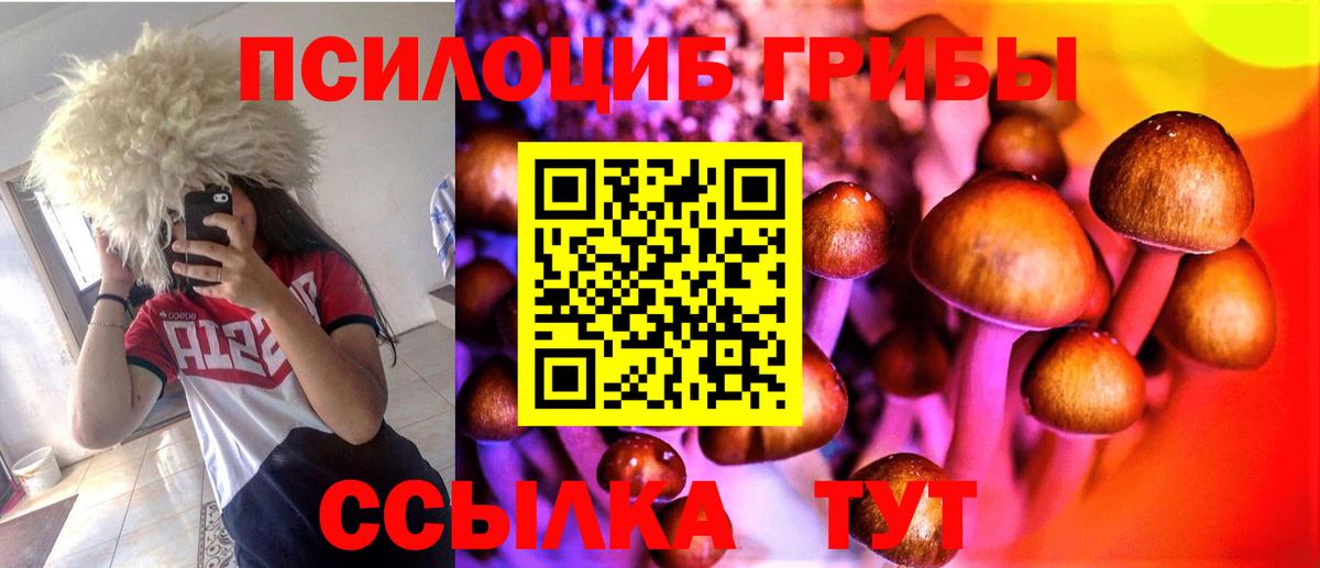 Меф Новочебоксарск